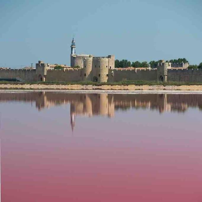 Maison Chaleureuse A 5 Mins Des Remparts Ег-Морт Екстер'єр фото