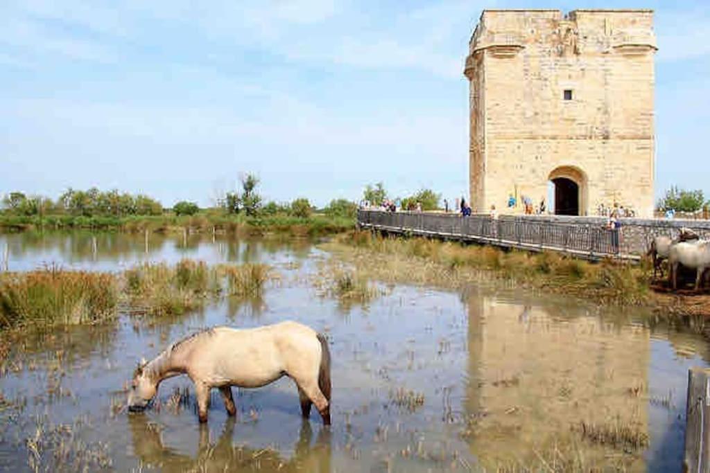 Maison Chaleureuse A 5 Mins Des Remparts Ег-Морт Екстер'єр фото