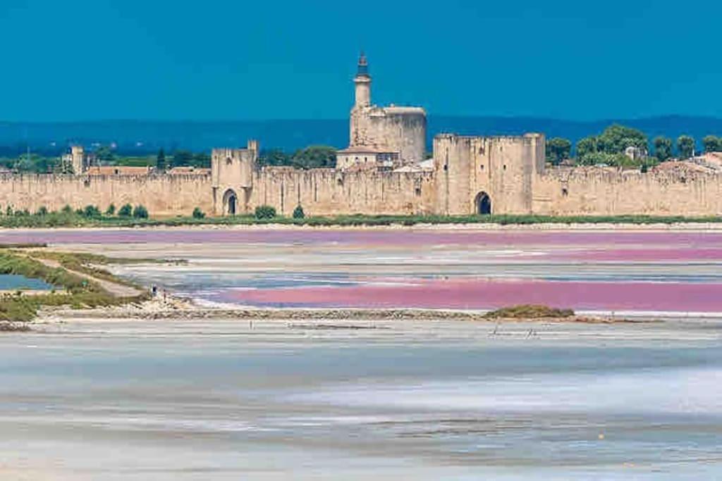 Maison Chaleureuse A 5 Mins Des Remparts Ег-Морт Екстер'єр фото